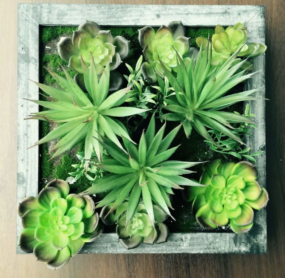 Tigoni Villas Apartments in San Antonio, TX